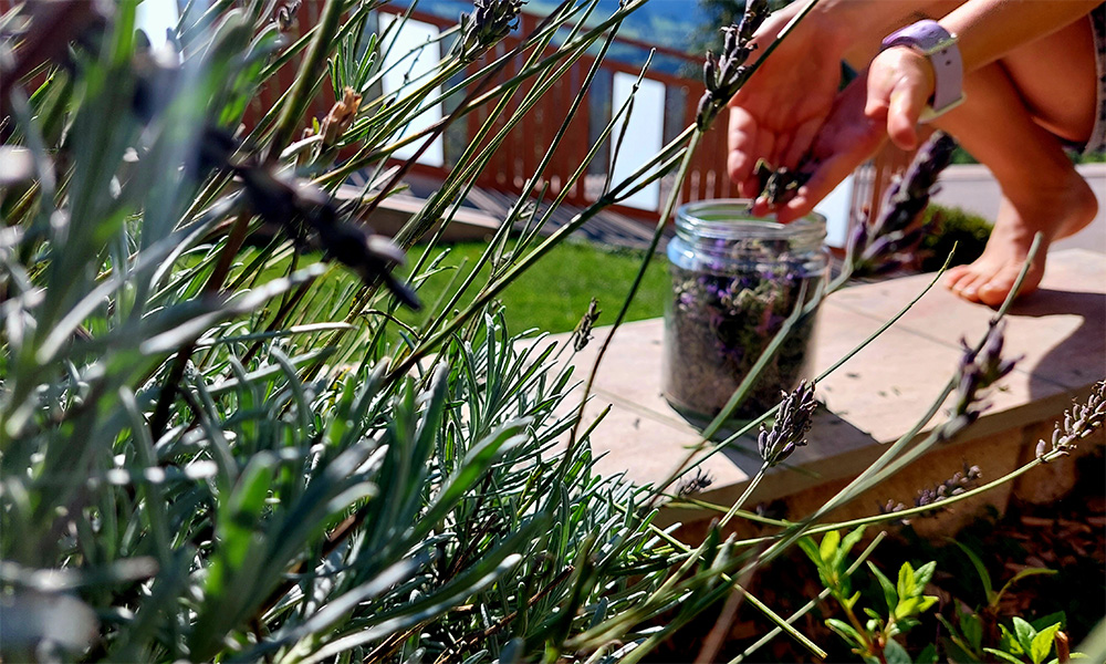 Naturerlebnis Glas 1000 53