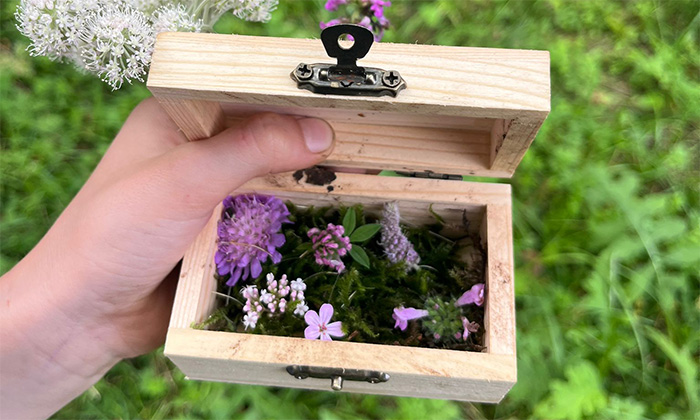 DEIN NaturERLEBNIS am Seyerlehnerhof